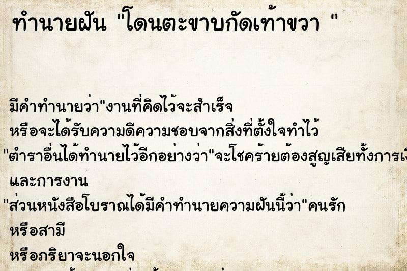 ทำนายฝัน โดนตะขาบกัดเท้าขวา 